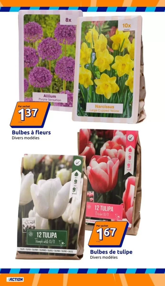 Catalogue Action, page 9 sur 36