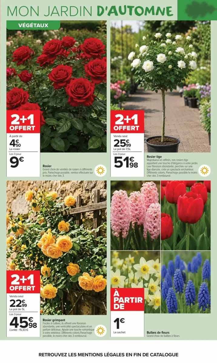 Catalogue Carrefour Market, page 3 sur 20