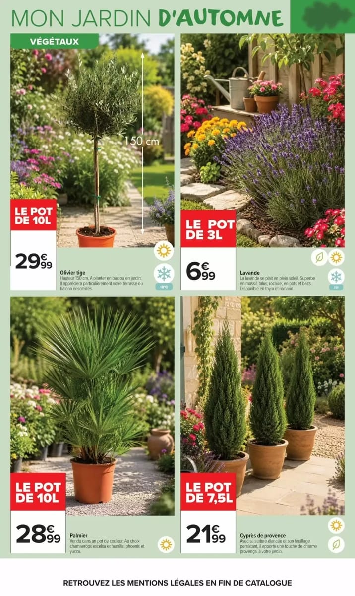 Catalogue Carrefour Market, page 4 sur 20