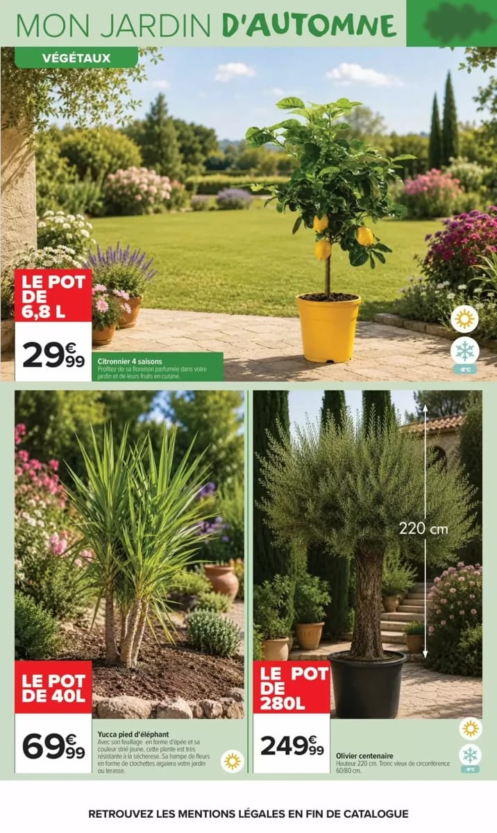 Catalogue Carrefour Market, page 5 sur 20