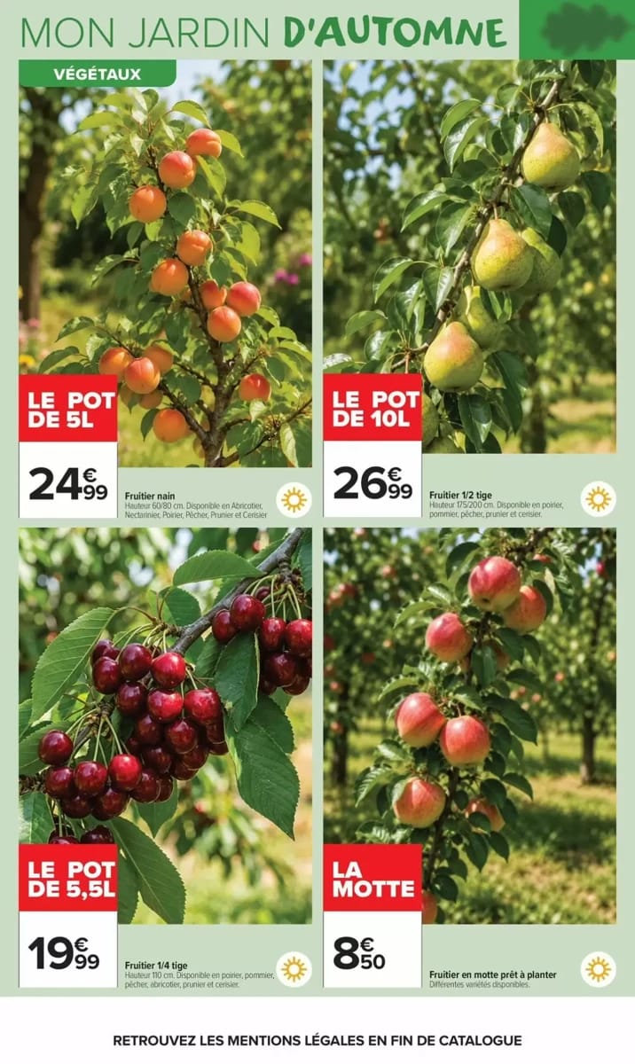 Catalogue Carrefour Market, page 6 sur 20