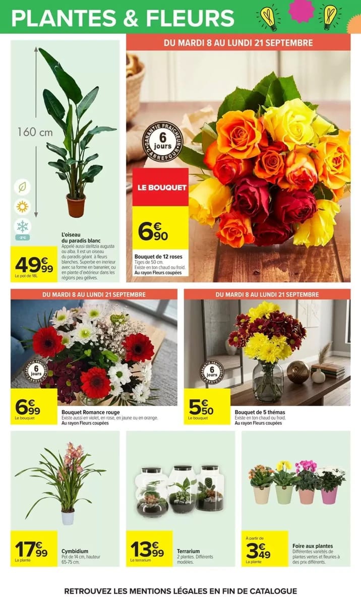 Catalogue Carrefour, page 63 sur 101