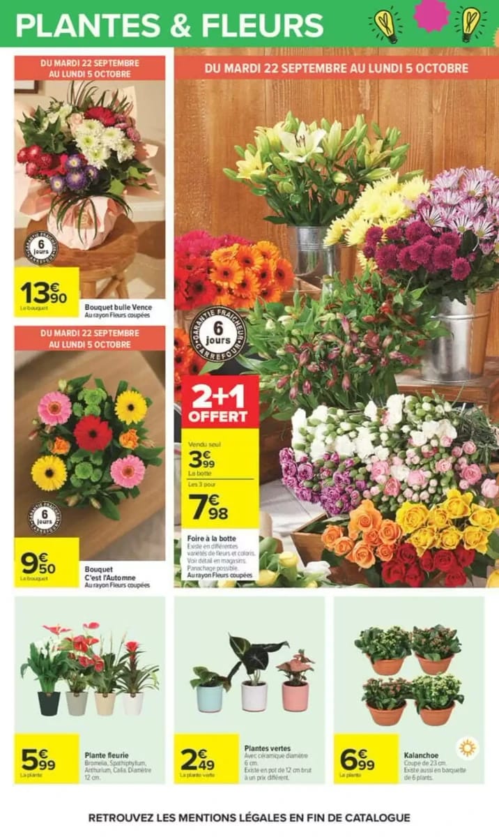 Catalogue Carrefour, page 68 sur 87