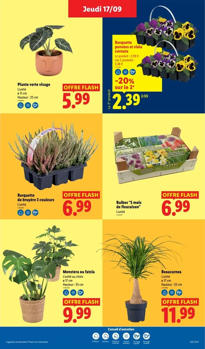 Catalogue Lidl, page 29 sur 67