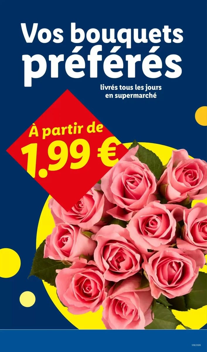 Catalogue Lidl, page 27 sur 62