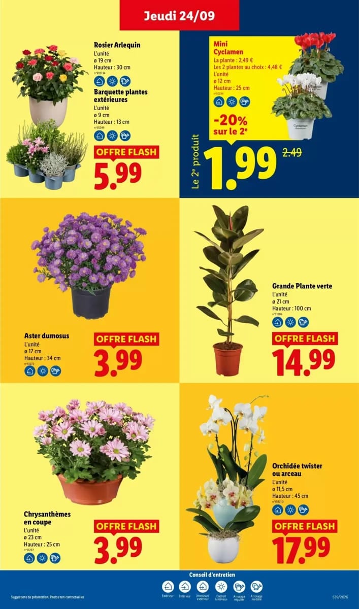 Catalogue Lidl, page 29 sur 62