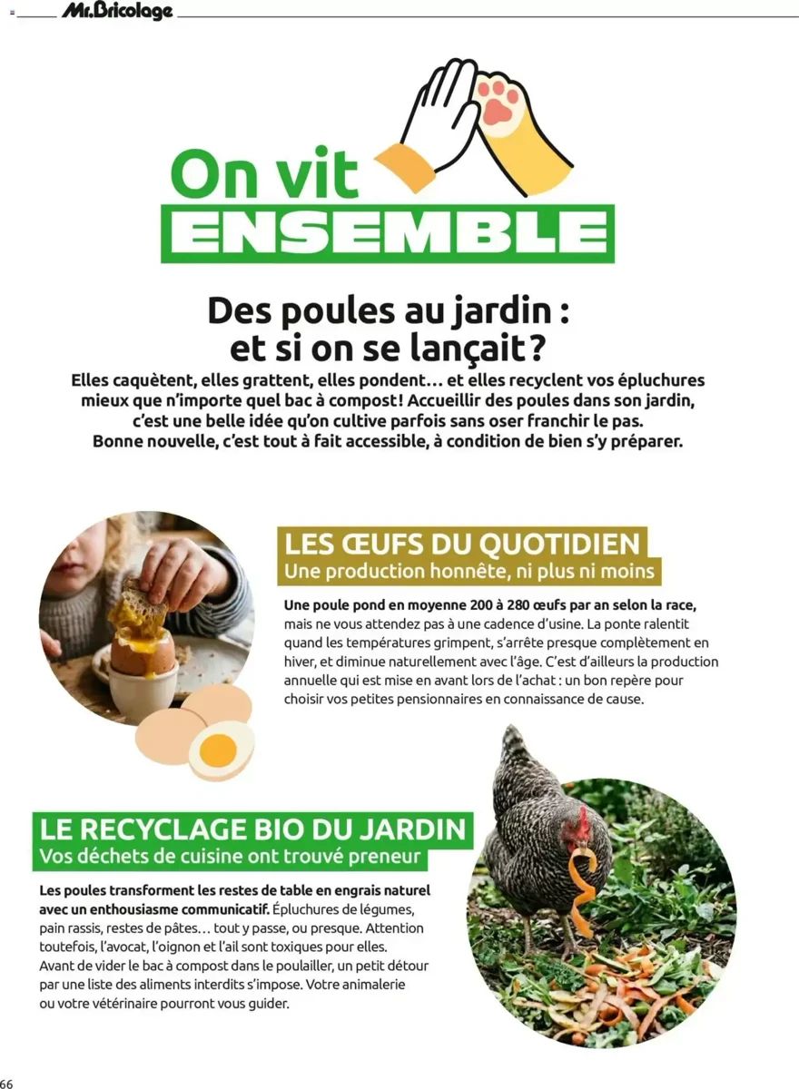 Catalogue Mr Bricolage, page 66 sur 104