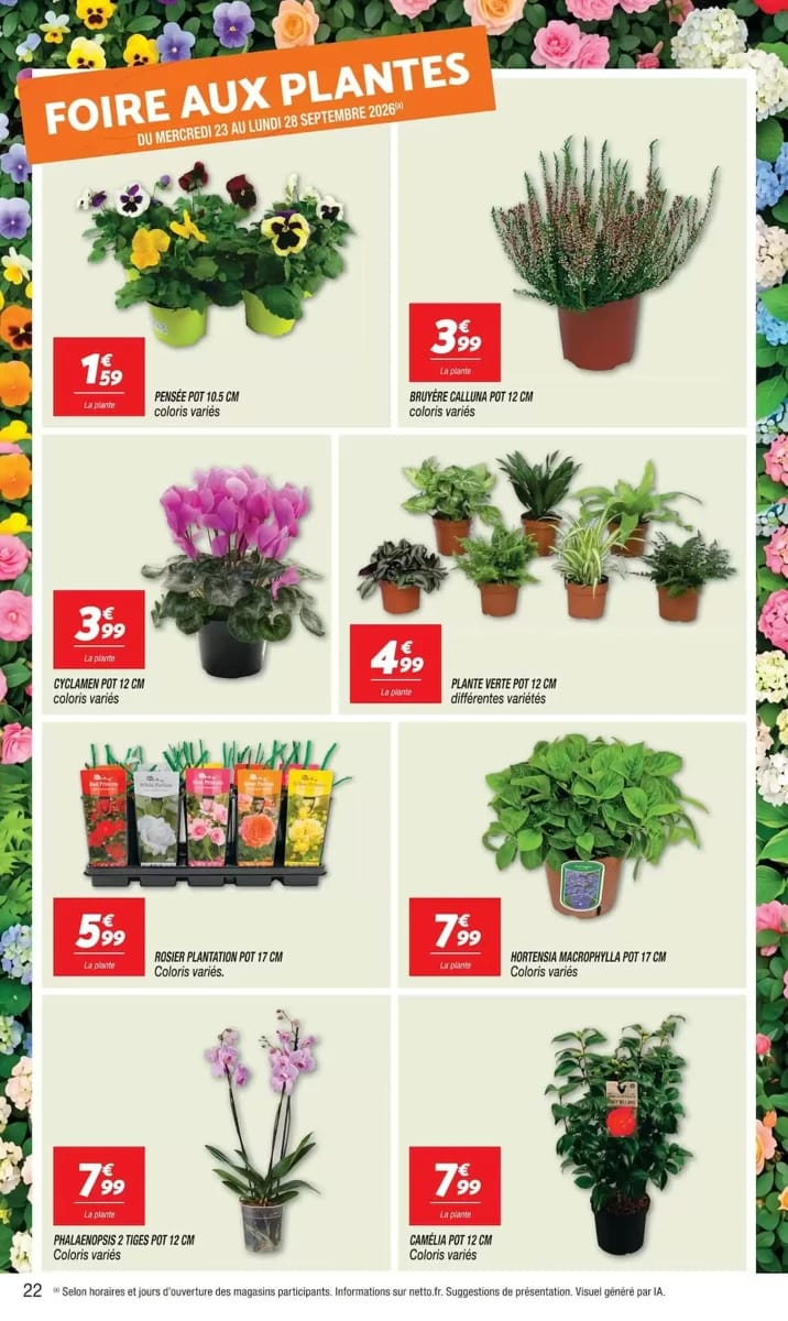Catalogue Netto, page 22 sur 24