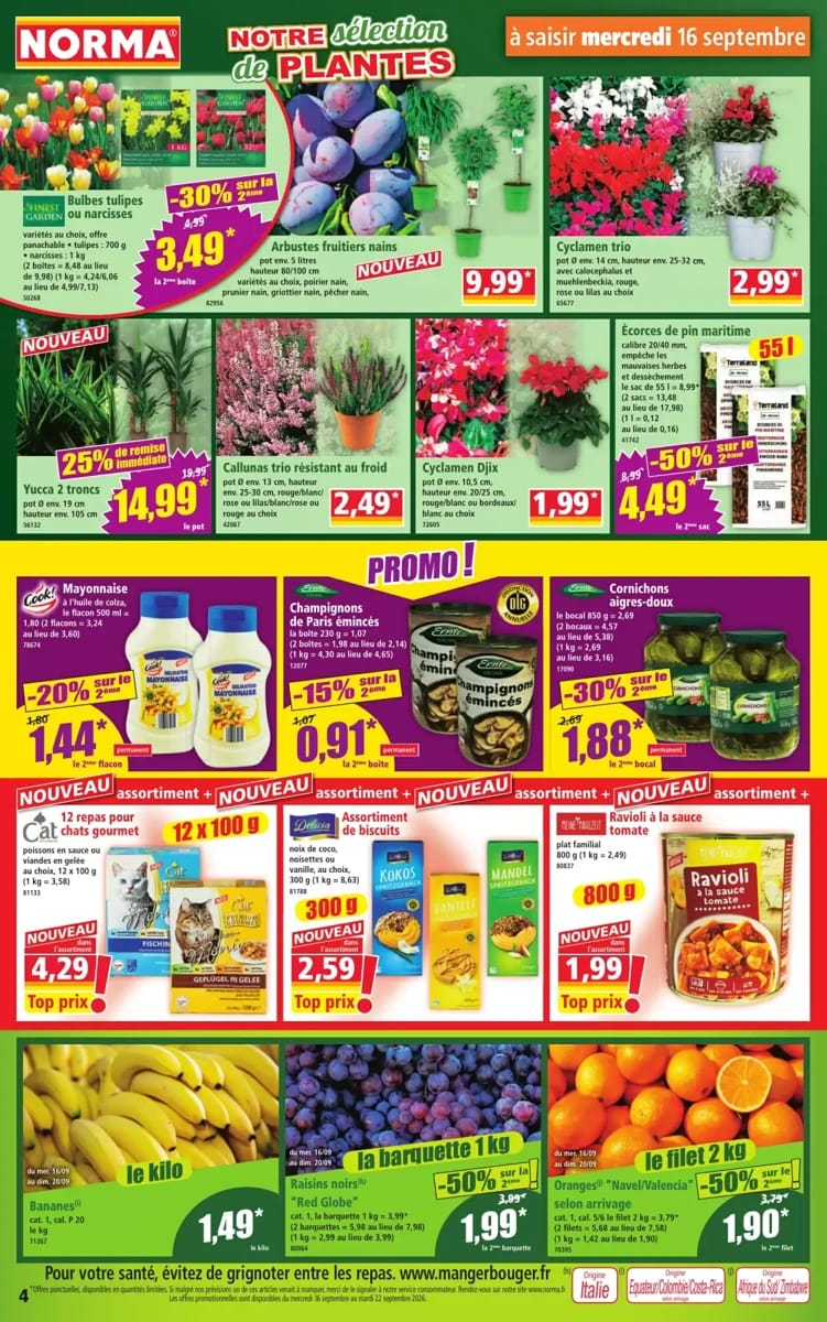 Catalogue Norma, page 4 sur 14