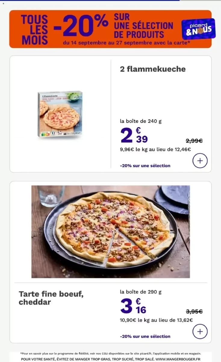 Catalogue Picard, page 13 sur 32