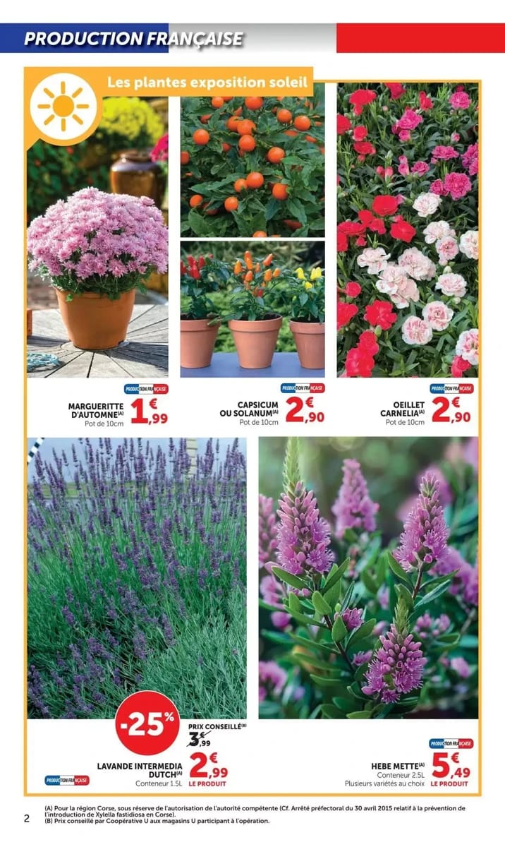 Catalogue Super U, page 2 sur 20