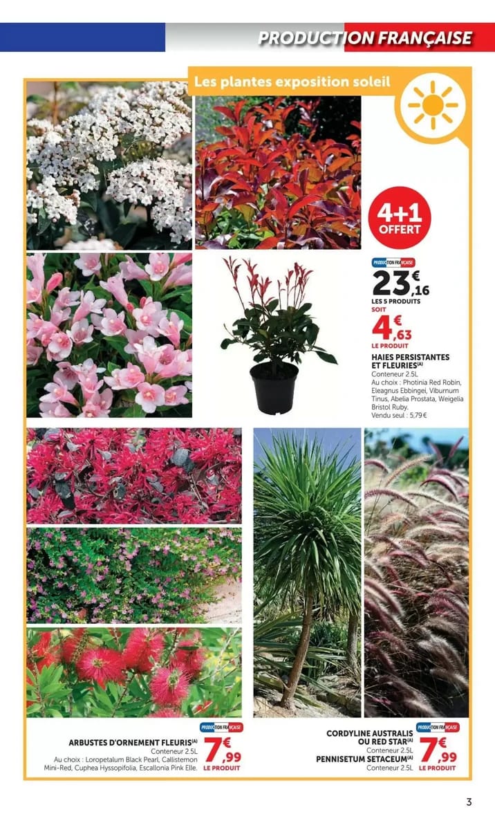 Catalogue Super U, page 3 sur 20